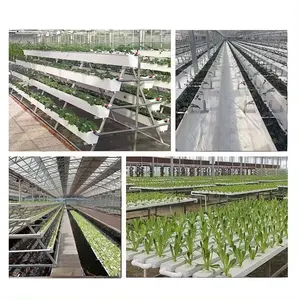 Soilless Cultivation Planting Trough A Shape Substrate culture for strawberry