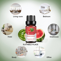 Aceite Aromático de Sandía Premium de 10 ml, Aceite Esencial Natural de Frutas para Difusor, Humidificador, Fabricación de Velas y Jabones