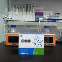 Kit de recherche ELISA pour la protéine humaine régulée par la cocaïne et l'amphétamine (Cartpt)