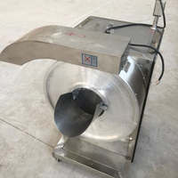 Complete productielijn voor aardappelchips en diepvriesfrieten voor een snackvoedselverwerkingsbedrijf, turnkey oplossing
