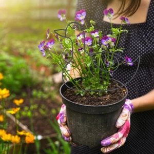 Supports de plantes d'intérieur en forme d'animaux lapin, escargot, canard, décoration intérieure, <span class=keywords><strong>support</strong></span> de <span class=keywords><strong>plante</strong></span> en métal, treillis de jardin pour plantes grimpantes en métal - Product Image 5