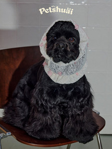Cache-oreilles respirant pour <span class=keywords><strong>chien</strong></span>, motif floral princesse, avec strass, pour l'été, lavable en machine, pour manger, toilettage et activités extérieures - Product Image 2