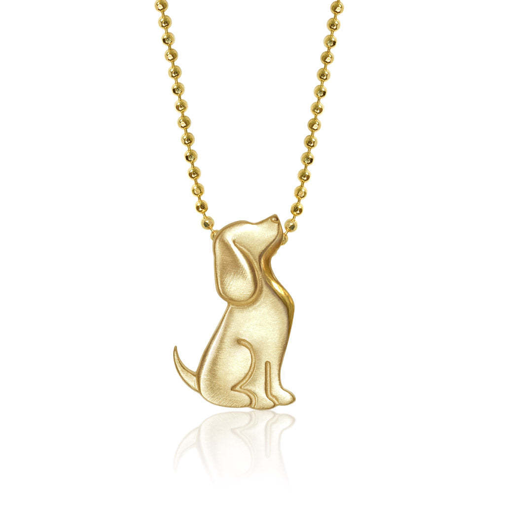 Beagle-dorado