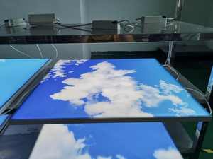 Panel de Luz LED Lumin de 595x595 mm con Certificación CE/ROHS/UL, Panel de Terapia sin Costuras para Montaje Suspendido, Panel de Cielo Artificial, Luz de Techo LED Estética - Product Image 5