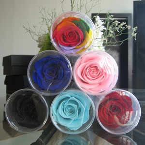 HFlora Factory Supply Wholesale Decorative Long Stem Preserved Rose for Celebration Wedding Valentine's Day Graduation <strong>Gift</strong> - Product Image 3