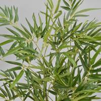 Branches de palmier artificielles écologiques durables résistantes aux UV de 120 cm, plante tropicale en PE pour l'aménagement extérieur des jardins et des hôtels