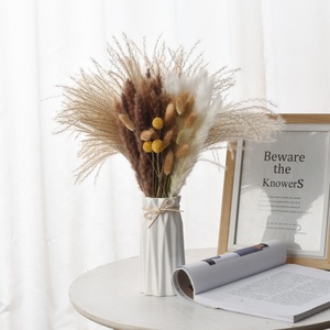 ZS002 Vente en gros d'herbe de la pampa naturelle séchée à longues tiges, style nordique, blanc et marron, <span class=keywords><strong>pour</strong></span> arrangement de <span class=keywords><strong>vase</strong></span> et décoration - Product Image 2