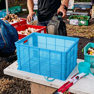 उच्च गुणवत्ता वाले जैन JD-755 hdpe प्लास्टिक ठोस फोल्डेबल बहु-रंग औद्योगिक ग्रेड भंडारण बॉक्स वनस्पति - Product Image 4