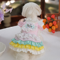 Robes classiques respirantes de couleur unie au design exclusif et moderne pour chiens/chats de petite race, en polyester durable