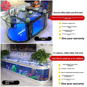 Geregelde rechthoekige glazen <span class=keywords><strong>aquarium</strong></span> met modern design, duurzame constructie voor woonkamer, bankbladen en voor vis- en schildpaddenbakken - Product Image 3