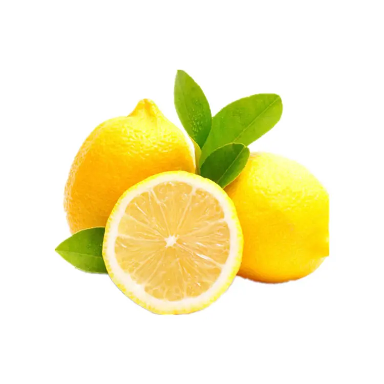 Sell Well New Type Wholesale Yellow New Lemon Fruits