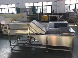 High Output Fish Ice Glazing Equipment Ice Coating Machine For Fish Price