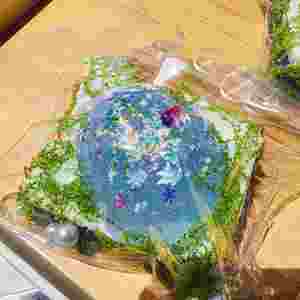 NOUVEAU Jouet Squishy Poisson de Mer Viral - Super Collant, Rebondissant, Anti-Stress, Cadeau Thème Alimentaire pour Enfants et Adultes - Product Image 1