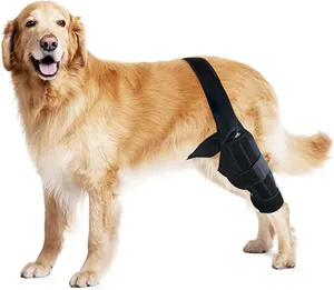 OEM العظام الكلب دعامة الركبة ل ACL الحيوانات الأليفة الركبة دعم حامي الساق الانتعاش كم هدفين يقلل آلام المفاصل الكلب دعامة الركبة