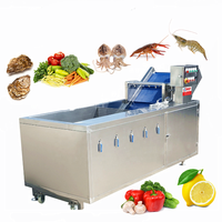 Industriële Mossel Bananenreiniger Oranje Fruit Date Chili Schoon Suikerriet Wassen Tomatenmachine 100Kg