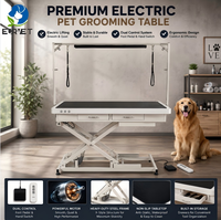 Table de toilettage électrique EURVET pour animaux, double commande, moteur silencieux, hauteur réglable, pour hôpital vétérinaire et salon de toilettage.