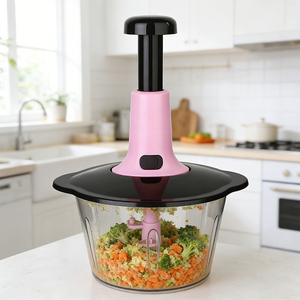 Accessoire de <span class=keywords><strong>cuisine</strong></span> pour la maison : Hachoir à ail manuel en plastique, mixeur rapide pour œufs, hachoir à légumes - Product Image 1