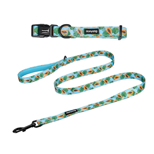 <strong>Pet</strong> <strong>Accessories</strong> New Designs Neoprene Padded <strong>Pet</strong> Dog Leash <strong>and</strong> Collar Set - Product Image 3