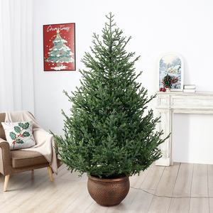 ต้นคริสต์มาสเทียมแบบมีบานพับ ดีไซน์ใหม่ ขนาด 4 ฟุต/5 ฟุต/6 ฟุต/7 ฟุต/8 ฟุต/9 ฟุต/10 ฟุต สไตล์หรูหรา พร้อมไฟ LED - Product Image 3