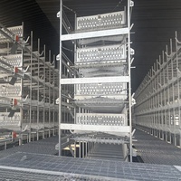 Système d'équipement de cage d'élevage de poulets entièrement automatique, durable et peu encombrant, de conception en forme de H, pour l'Afrique, permettant de réduire les coûts de main-d'œuvre
