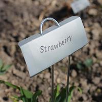 Étiquettes de plantes en acier inoxydable robustes Étiquettes de marquage d'identification de pot de jardin extérieur Marqueurs de pétales pour plantes