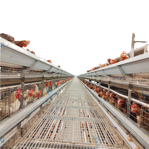 Équipement d'élevage avicole galvanisé pour <span class=keywords><strong>poules</strong></span> pondeuses, cages à <span class=keywords><strong>poules</strong></span>, équipements d'élevage de poulets, cages à volailles, <span class=keywords><strong>poules</strong></span> - Product Image 2