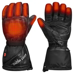 Heated Ski Gloves Custom Touch Screen Waterproof Windproof Outdoor Functional Sports Battery Rechargeable Gloves