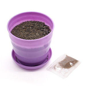Kit de culture de plantes, expérience scientifique éducative, ensemble d'apprentissage DIY pour les étudiants, projets scolaires, outil d'observation et d'enseignement - Product Image 4