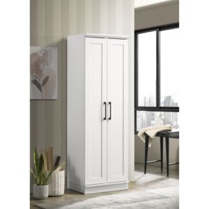 DB Evelyn 23 \ "armoire de rangement élégante en bois massif blanc Design moderne avec panneau encadré et miroir pour meubles de maison - Product Image 1