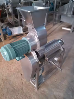 Presse-agrumes commercial haute performance 500 kg/heure pour pommes, oranges et ananas avec broyeur HJ-CM1000