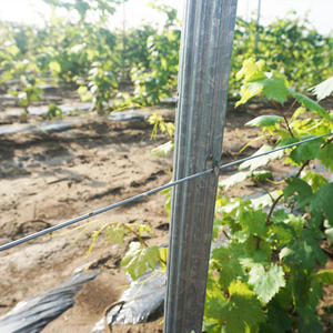 <span class=keywords><strong>Support</strong></span> pour plantes grimpantes en matériau Q195, épaisseur 2,2 mm, solution agricole économique et fiable - Product Image 3