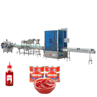 Volledig automatische turnkey tomatenpuree-machine van roestvrij staal, productielijn voor verse tomatenketchup