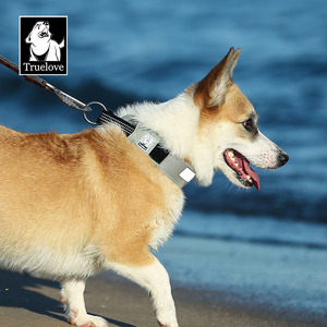 Truelove Großhandel Reflective Durable Nylon Hunde halsband Patch Luxus Haustier Zubehör Hochwertiges LED-Halsband Para Gato verstellbar - Product Image 6