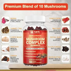 Gummies aux champignons en marque privée OEM/ODM, complexe de 10 champignons pour la concentration, le cerveau et la mémoire - Product Image 3