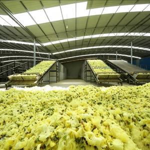 Déshydrateur industriel à bande continue haute performance avec système de séchage à convoyeur à mailles pour la manutention de matières premières alimentaires en vrac - Product Image 5