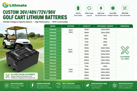 Fabricant OEM de batteries fiable pour les marques mondiales, batterie au lithium LiFePO4 pour voiturette de golf 36V 48V 72V 105Ah