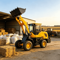 Chargeuse sur pneus compacte de 1,5 tonne de capacité nominale avec godet de 0,6 m³ pour la manutention des matériaux agricoles et de construction, flexible et compacte