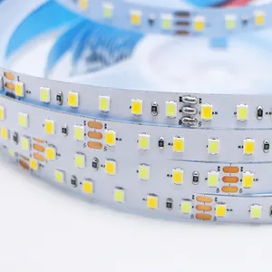 12v 24v 2835 5mm 8mm 10mm Warm White Cool White Dual Color Light Strip IP20 IP65 High CRI Led Strip Dual Color