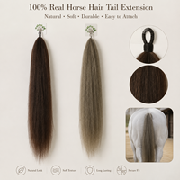 Brosse éventail Hengju SB-1 professionnelle de haute qualité en poils de cheval 100% naturels, extensions de queue de cheval, avec boucle en tissu, pour spectacle anglais et western