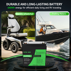 DATOU BOSS 6000 Cycle Batterij 12V 50Ah Lifepo4 Lithium Batterij Zonne-energie met Smart BMS voor Energieopslag - Product Image 5