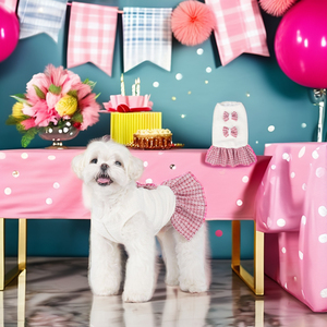 Outono E Inverno Feminino <span class=keywords><strong>Dog</strong></span> Outfit Pequeno Cão Pet Vestuário Roupas Elegantes Vestido Para Filhotes Com Laço - Product Image 1