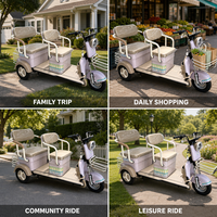 Tricycle électrique pour adultes à 2 places, tricycle électrique pour seniors, scooter de loisirs à 3 roues avec paniers avant et arrière