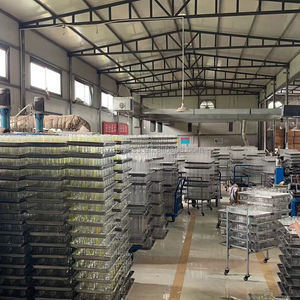 Bouteille de vin en verre en forme de requin à haute teneur en borosilicate faite à la main en gros d'usine - Product Image 5