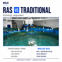 WOLIZE Système d'aquaculture en recirculation : Gestionnaire de projet dédié, Conception de plan de site, Guide d'installation, Formation d'équipe, CE ISO