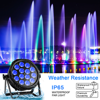 Projecteur PAR LED extérieur étanche IP65 14 LED RGBW 4-en-1 avec contrôle DMX