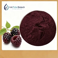 Natuurlijk gevriesdroogd zwart frambozenpoeder, zwart frambozenextract, zwart frambozenfruitpoeder