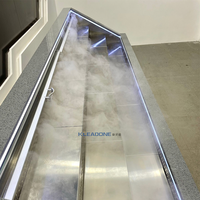 Équipement de réfrigération commerciale économe en énergie 5 étoiles en acier inoxydable à affichage numérique de type horizontal à température unique