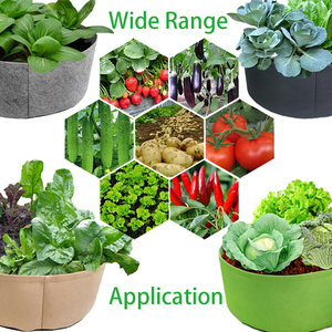 Pots en tissu non tissé écologique 10, 15, 30, 40, 50, 100, 200 gallons, pour plantation de légumes, fleurs, <span class=keywords><strong>myrtille</strong></span>, arbres - Product Image 6