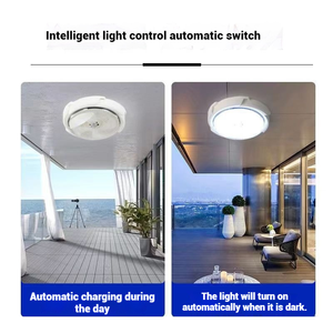 مصباح حديقة LED داخلي وخارجي يعمل بالطاقة IP65 منتج سقف للتحكم عن بعد للحدائق والمنازل - Product Image 3