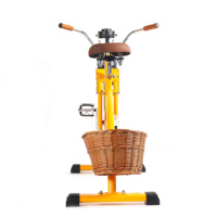 Exi Beachcruiser Fiets Reclame Sinaasappelsap Fruitblender Smoothie Cyclus Commerciële Juicer Afzuigmachine